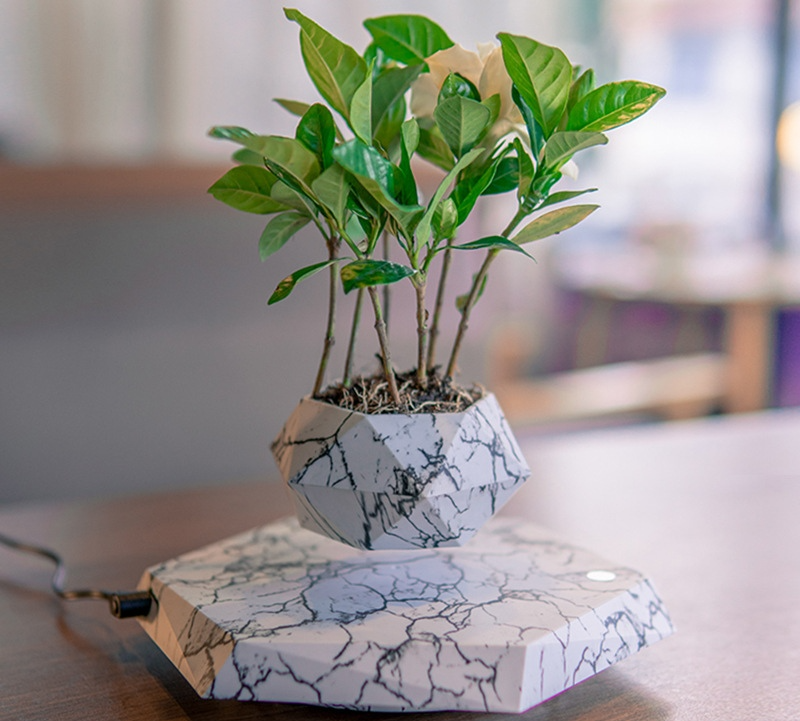 Airbloom Magnetische Zwevende Plantenpot - Villeso